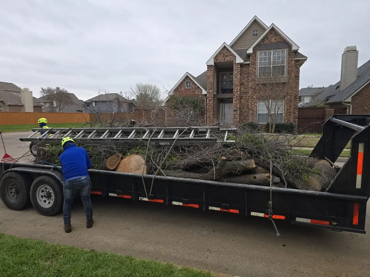 Expert Lot Clearing with proper safety equipment in Chandlers Valley